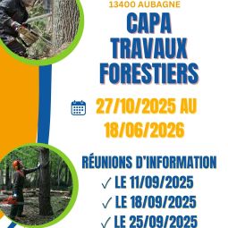 CAPA TF 25-26.jpg