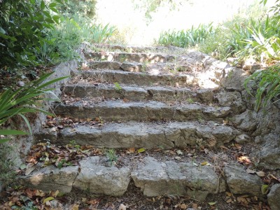 DSCN2289